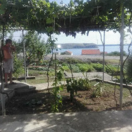 Josip -tomic Miletici