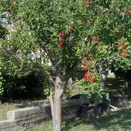 Apartamento Josip -tomic *